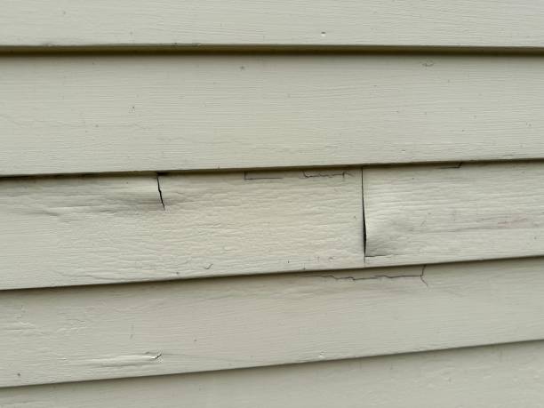 Siding Removal and Disposal in Columbus, TX